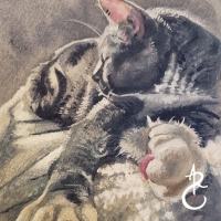 2023CatPaw