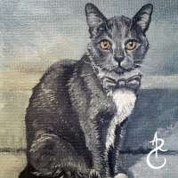 2023DapperCat