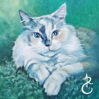 2023Gatto