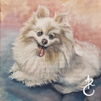 2023Kiki