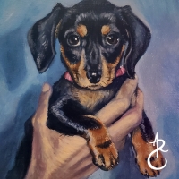 2023SmolPuppy