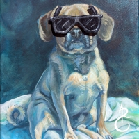 2025Pug