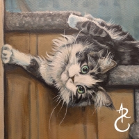 2025StairCat