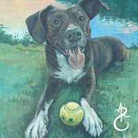 2026CarDog