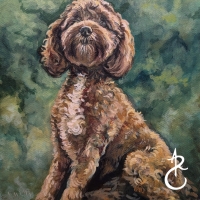 2026Curlydog
