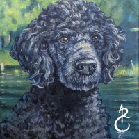 2026_LakeDoodle