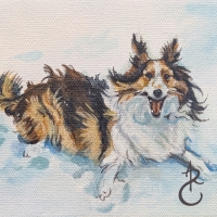 2026_SnowDog