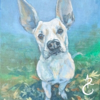 DogooWatermarked1024x1024