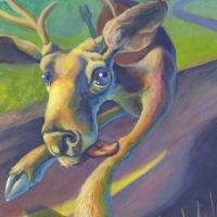 Oh Deer